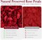 180 PCS Dried Real Red Rose Flower Petals Confetti for Wedding, 1.75oz Preserved Freeze Flower Girl Petals